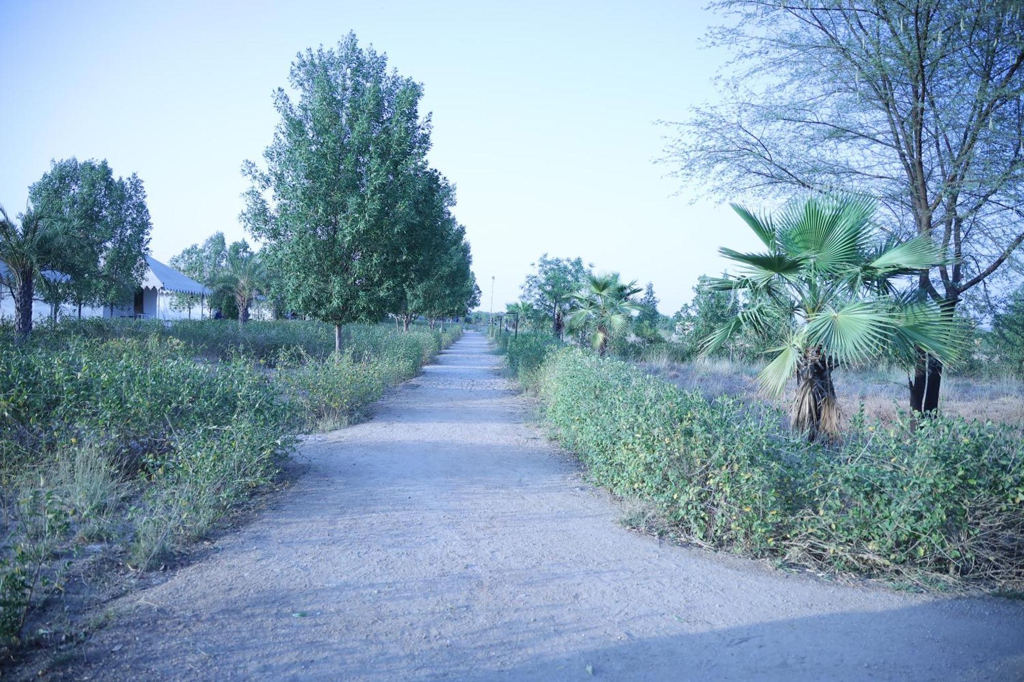 Hotel Jawai Bera Leopard Camp Esterno foto
