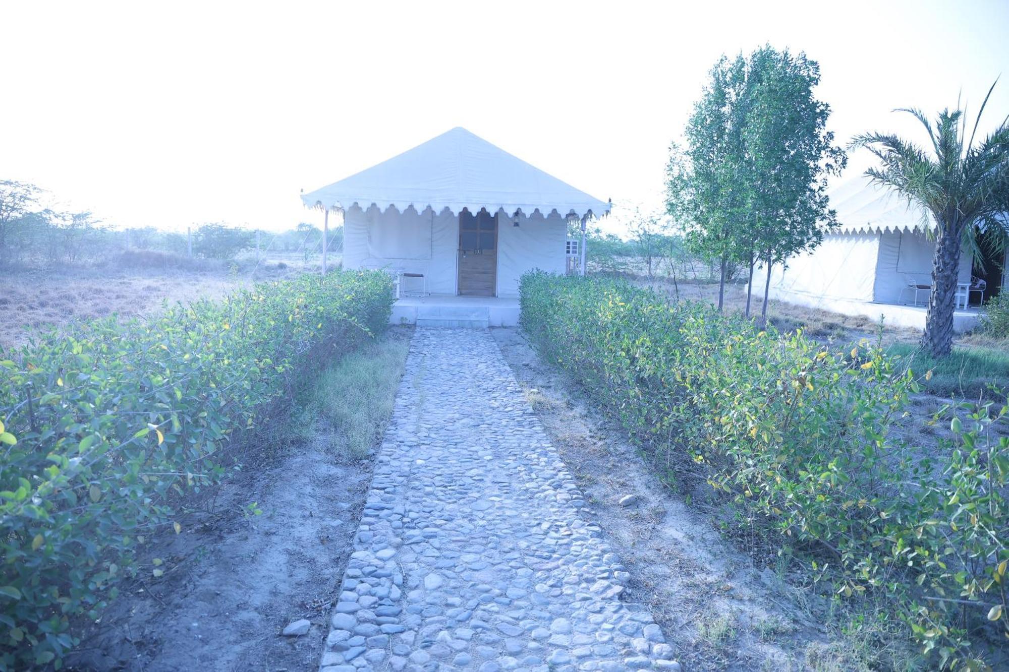 Hotel Jawai Bera Leopard Camp Esterno foto